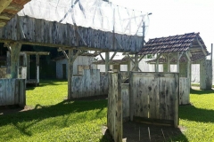 photo_2019-10-20_22-32-10